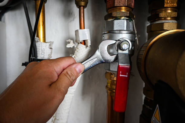 Best Residential Plumbing Services  in Marion, IN